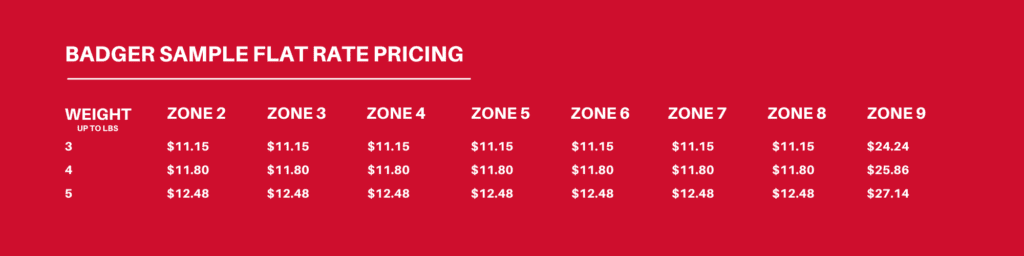 badger sample pricing v2 1024x256 1